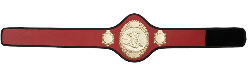 MMA CHAMPIONSHIP BELT-PRO286/G/MMAG-10+ COLOURS